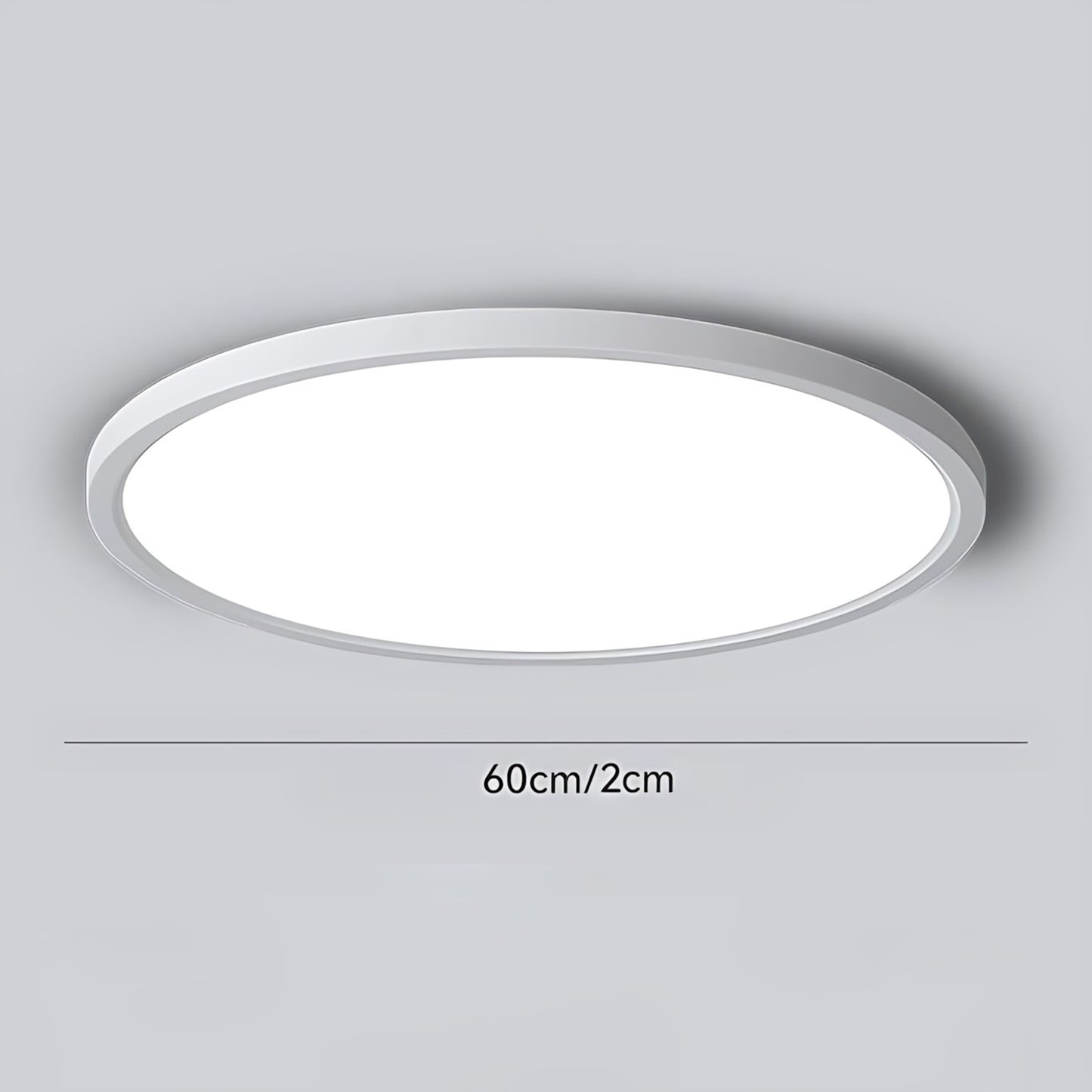 Circle Modern Aluminum Ceiling Lamp