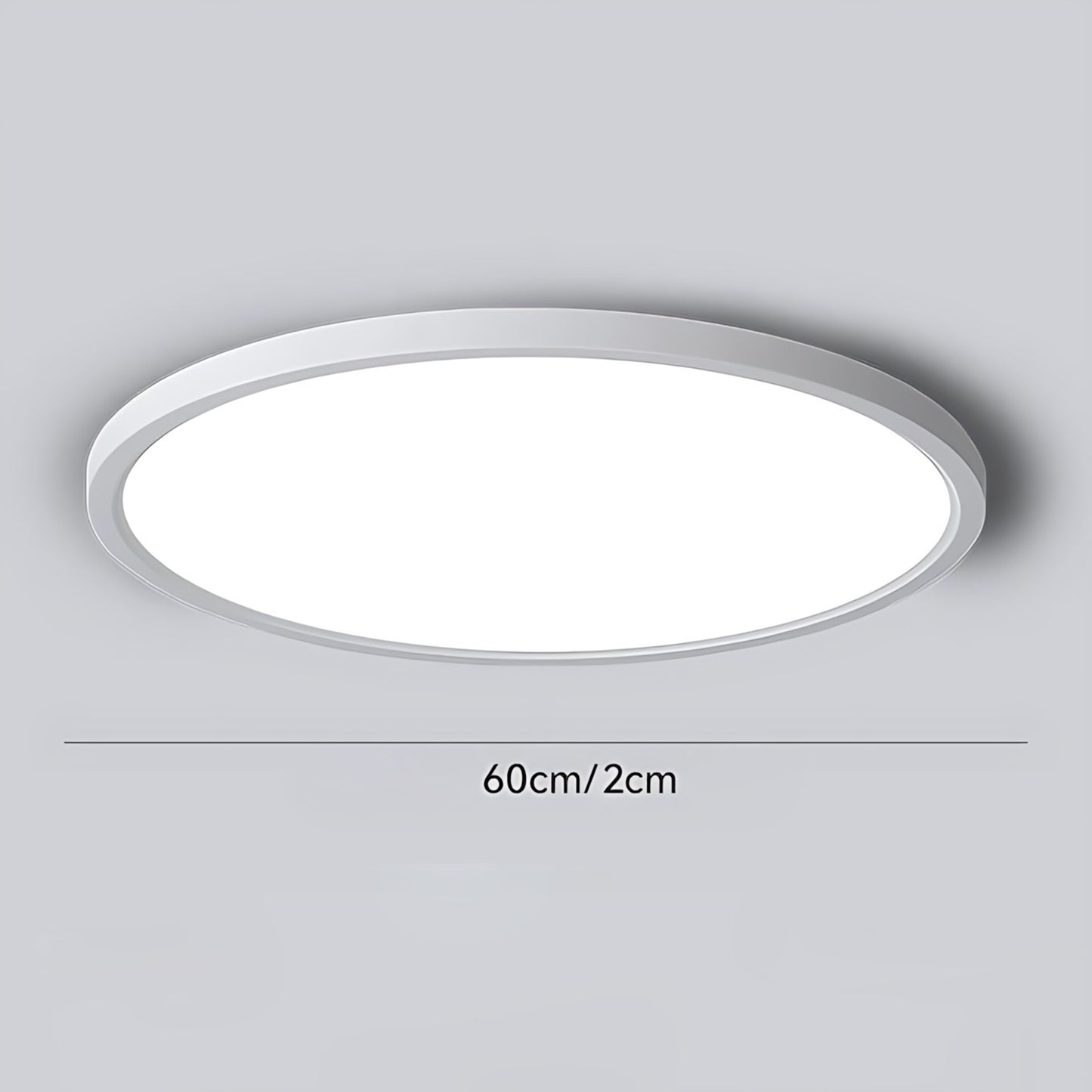 Circle Modern Aluminum Ceiling Lamp