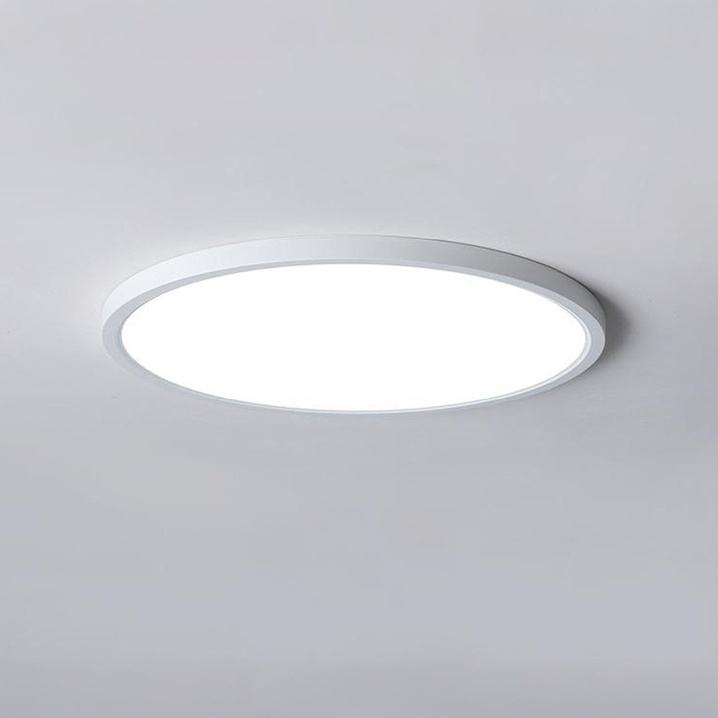 Circle Modern Aluminum Ceiling Lamp