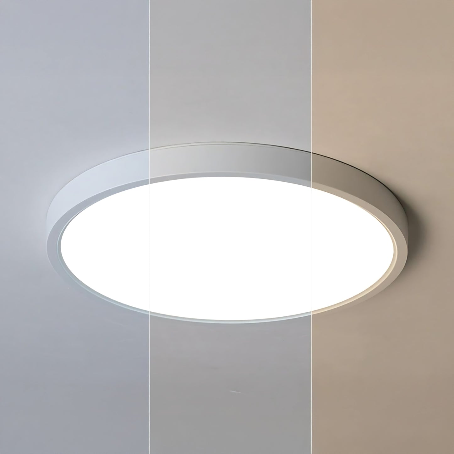 Circle Modern Aluminum Ceiling Lamp